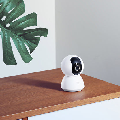 Smart Indoor Camera